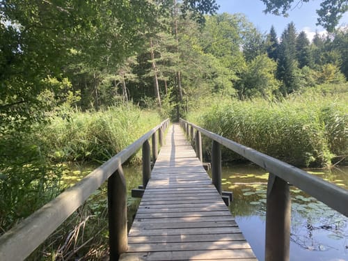 Rund um den Hartsee