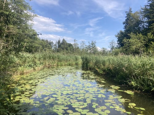 Rund um den Hartsee