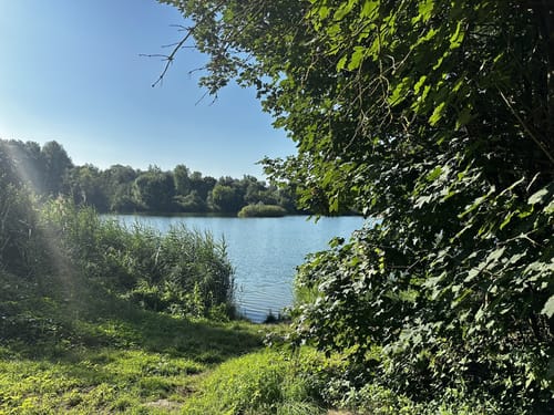 Parkwald Maudacher Bruch