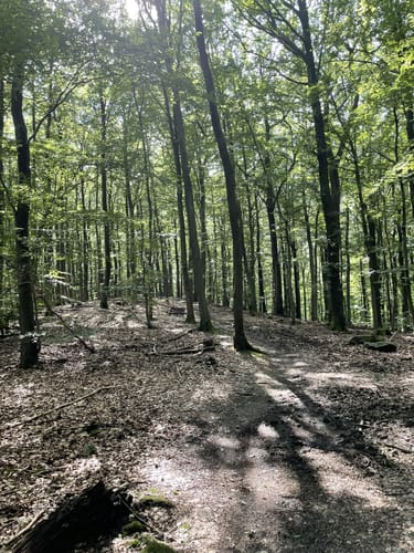 Wennigloher Rundweg