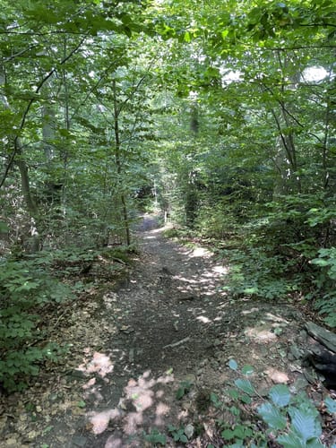 Wennigloher Rundweg