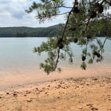 Lake Blue Ridge Loop , Georgia - 900 Reviews, Map | AllTrails