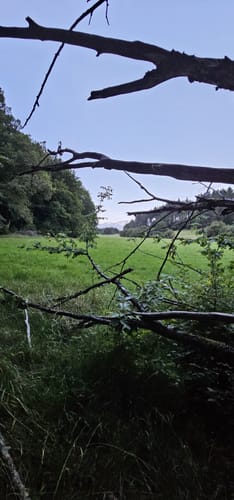 Durch das wilde Aubachtal