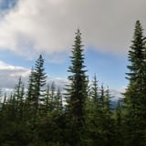 Johnson Ridge Trail, Washington - 287 Reviews, Map | AllTrails