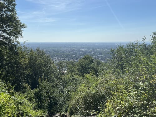 Kapellenberg und Wildpark Hofheim am Taunus