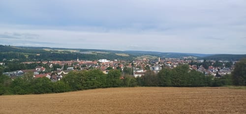 Marktheidenfeld 4 : Über sieben Hügel kannst du gehn
