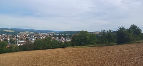 Marktheidenfeld 4 : Über sieben Hügel kannst du gehn
