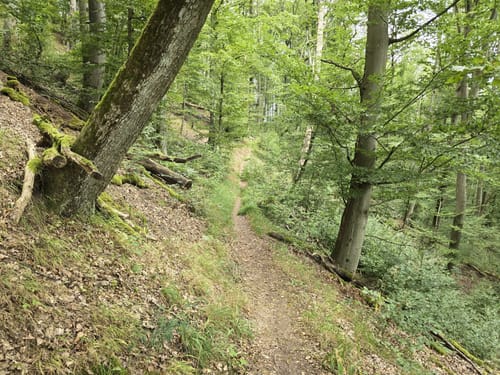 Kleiner Knetzberg