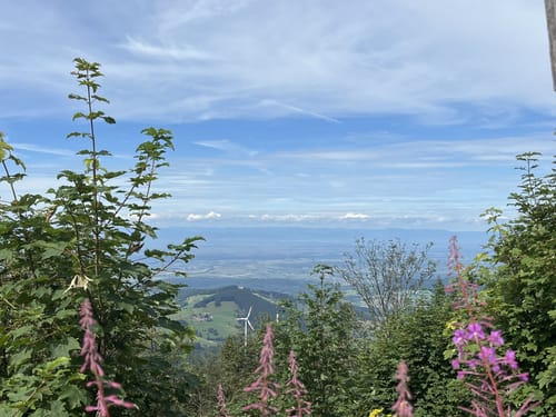 Schauinsland Rundweg