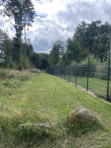Holzbachschlucht und Secker Weiher Rundtour