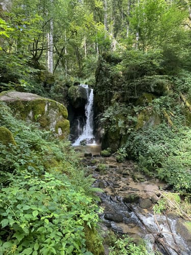 Albsteig Schwarzwald Etappe 1: Albbruck – Görwihl