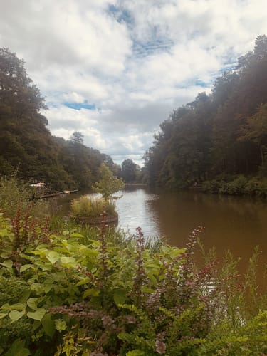 Liebfrauenberg und Kurpark Bad Bergzabern