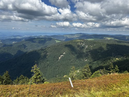 Belchensteig (Genießerpfad)