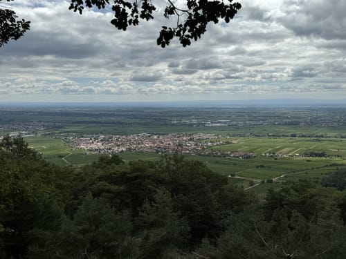 Pfälzer Weinsteig Etappe 5: Neustadt a. d. Weinstraße - St. Martin