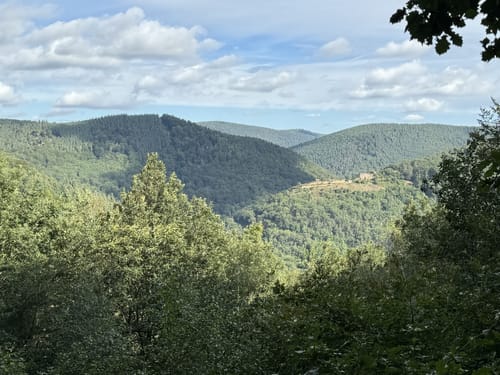Pfälzer Weinsteig Etappe 5: Neustadt a. d. Weinstraße - St. Martin