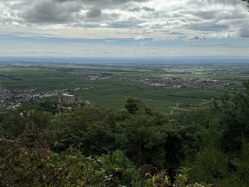Pfälzer Weinsteig Etappe 5: Neustadt a. d. Weinstraße - St. Martin