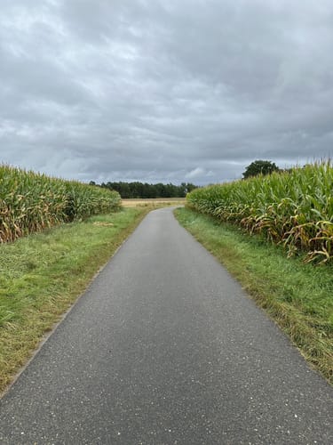 Kleine Runde Bokensdorf