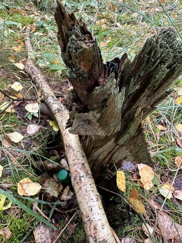 Kleine Runde Bokensdorf
