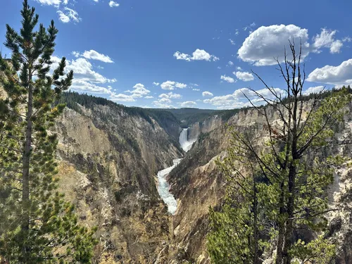 Artist point trail yellowstone best sale