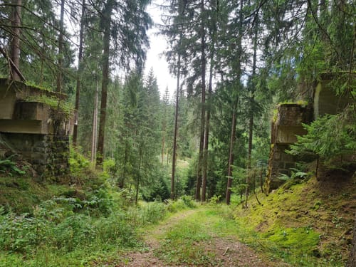 Schönheide - Rautenkranz - Grünheide
