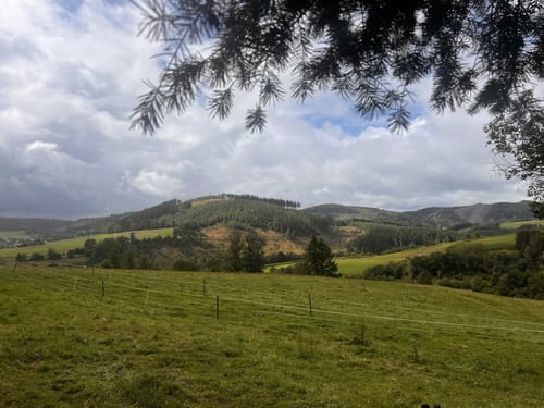 Schieferpfad (kurz)