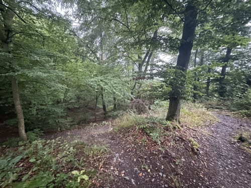 Laubach Wasserfall via Altwied und Melsbach