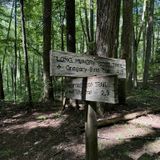 Twentymile Loop Trail, North Carolina - 232 Reviews, Map | AllTrails