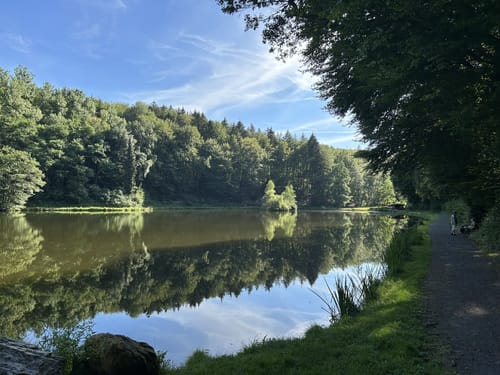 Rassel und Kellerskopf Rundweg