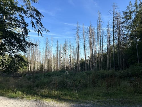 Rassel und Kellerskopf Rundweg