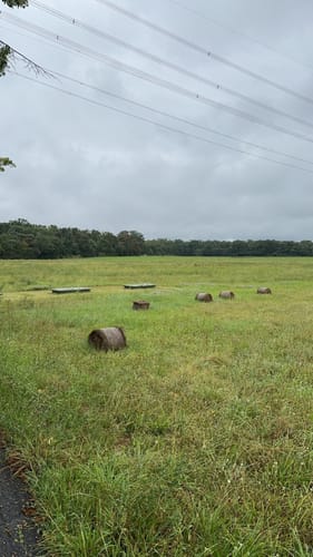 Dossenwald Rundweg Nr. 1