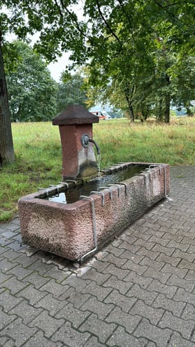 Dossenwald Rundweg Nr. 1