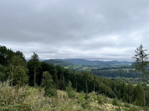 Drachenflugtour (Premiumwanderweg)