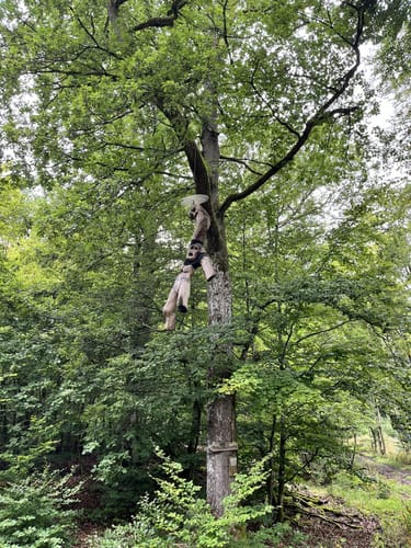 Drachenflugtour (Premiumwanderweg)
