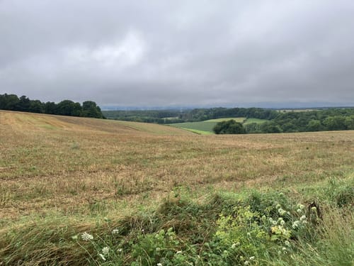 Lütmarsen Rundweg LM6