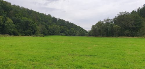 Butzmühlenweg (Premiumwanderweg)