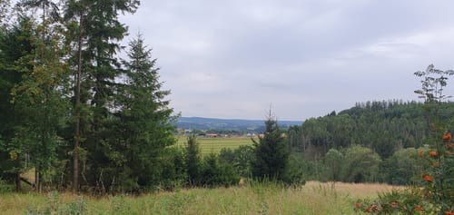 Butzmühlenweg (Premiumwanderweg)