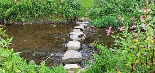 Butzmühlenweg (Premiumwanderweg)