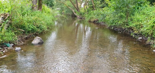 Butzmühlenweg (Premiumwanderweg)