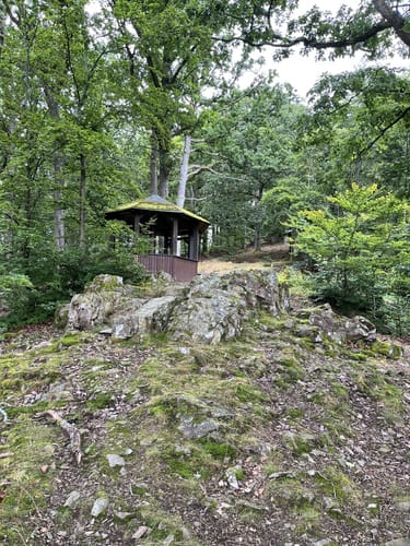 Drachenflugtour (Premiumwanderweg)