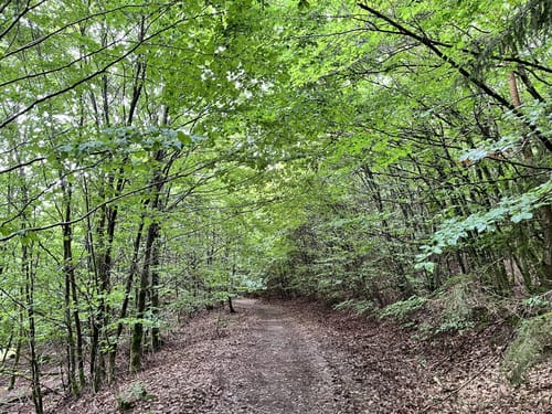 Drachenflugtour (Premiumwanderweg)