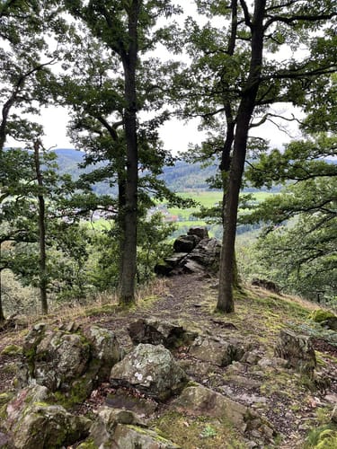 Drachenflugtour (Premiumwanderweg)