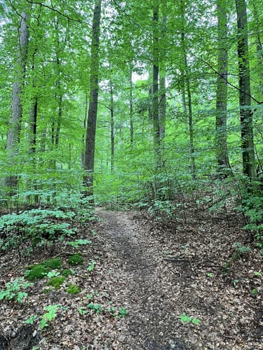 Drachenflugtour (Premiumwanderweg)