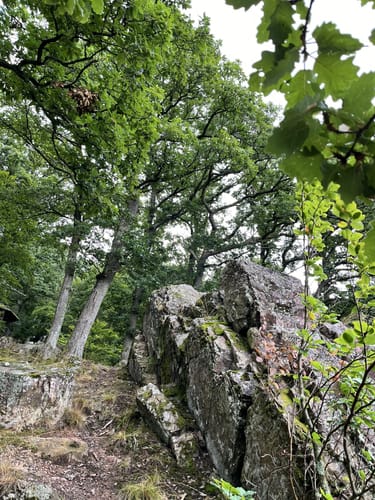 Drachenflugtour (Premiumwanderweg)