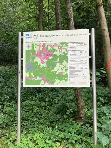 Rundwanderweg Kallstädter Tal 3: Buchklinger Weg