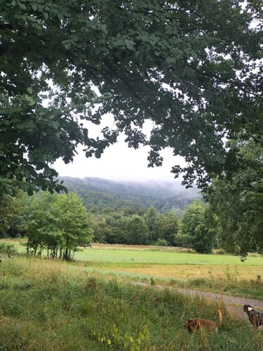 Rund um Fredesloh