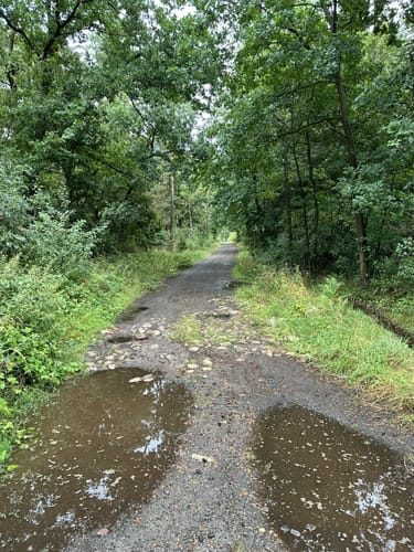 Kleine Runde Bokensdorf