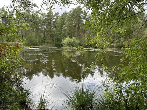 Kleine Runde Bokensdorf