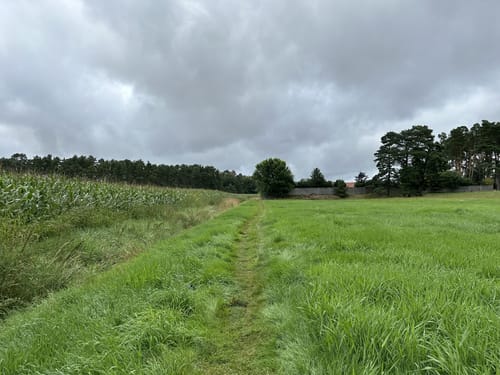 Kleine Runde Bokensdorf