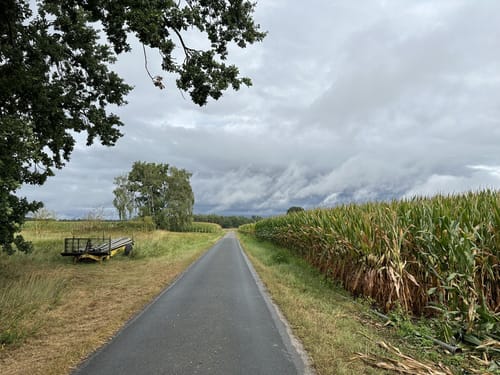 Kleine Runde Bokensdorf
