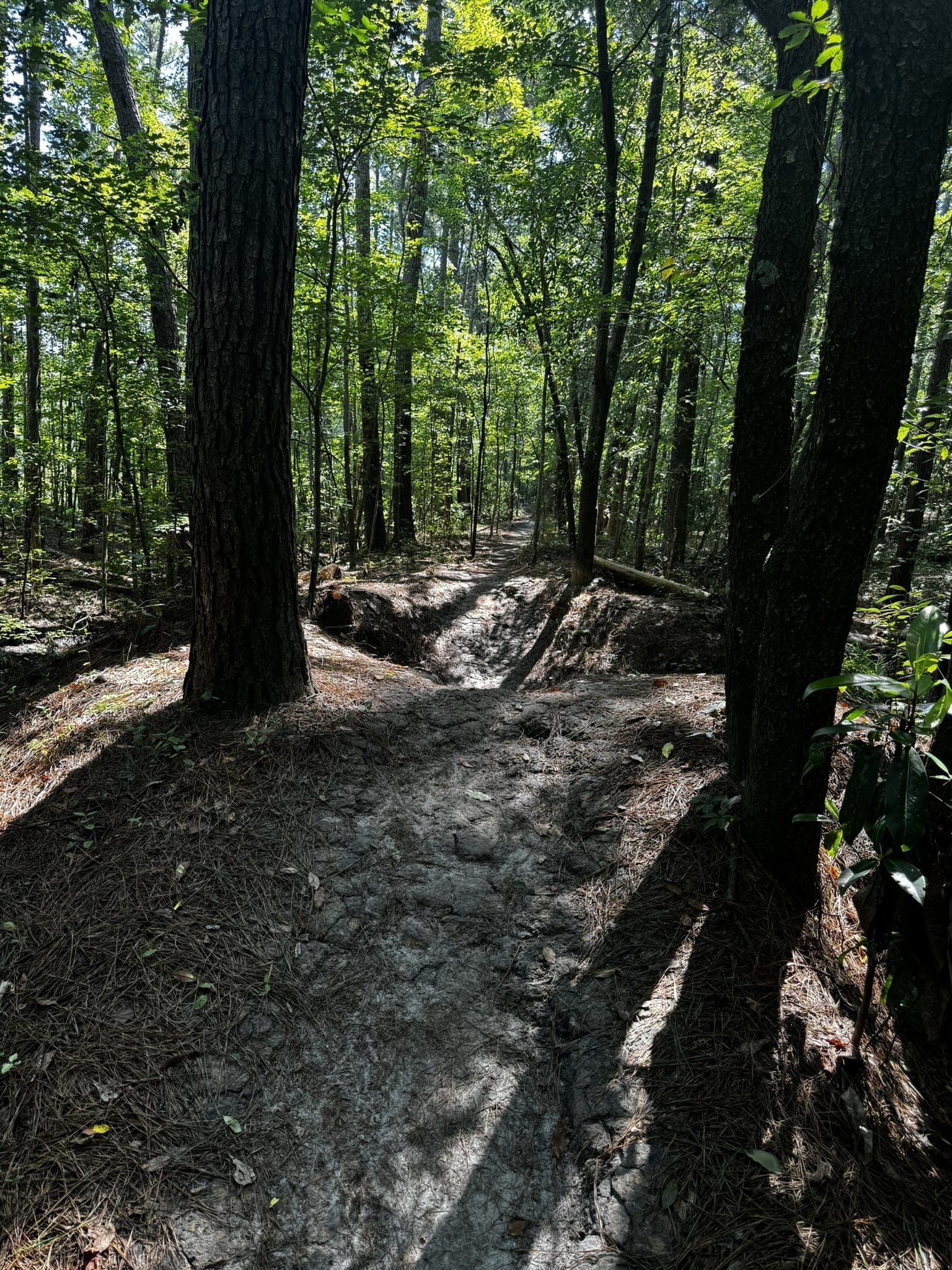 Photos of Blue Clay Bike Park Trail North Carolina AllTrails